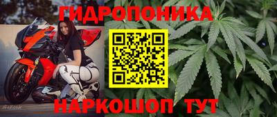 скорость Рязань