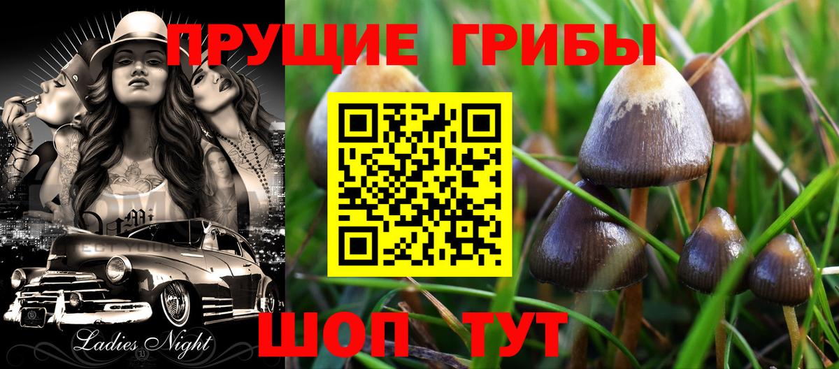 Галлюциногенные грибы мухоморы Шатура