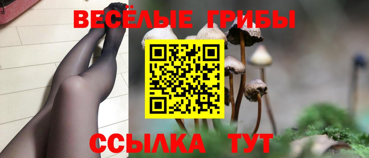 Галлюциногенные грибы Psilocybe  Вход с VPN  Шатура  Галлюциногенные грибы Psilocybine cubensis 